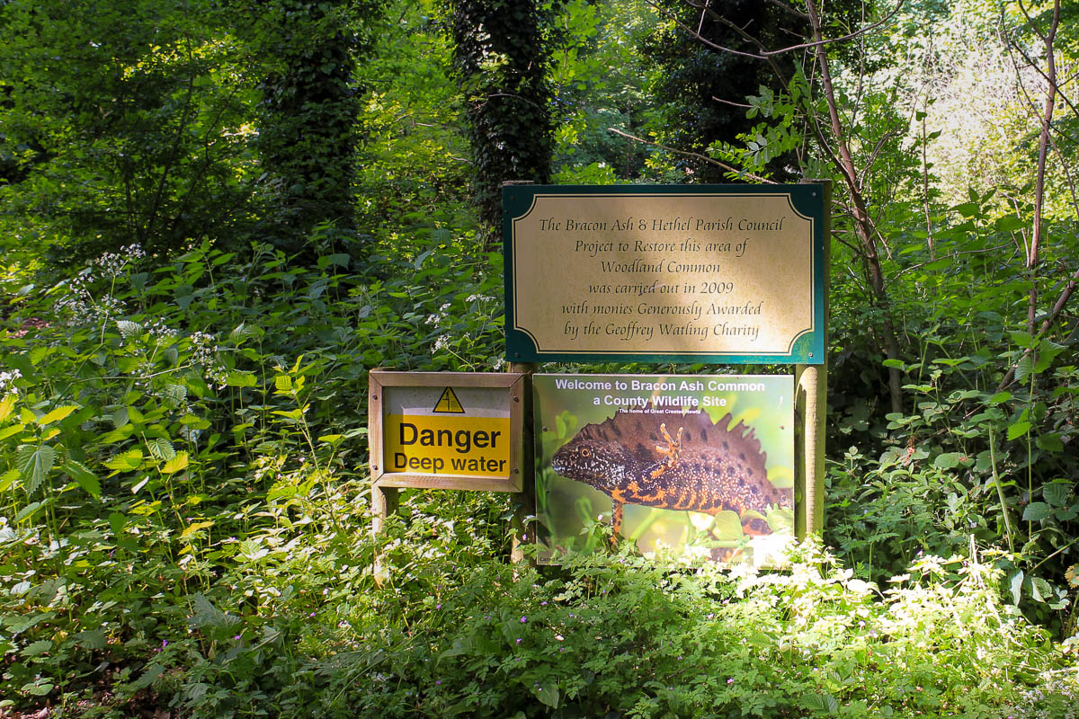  Bracon Ash Common sign 